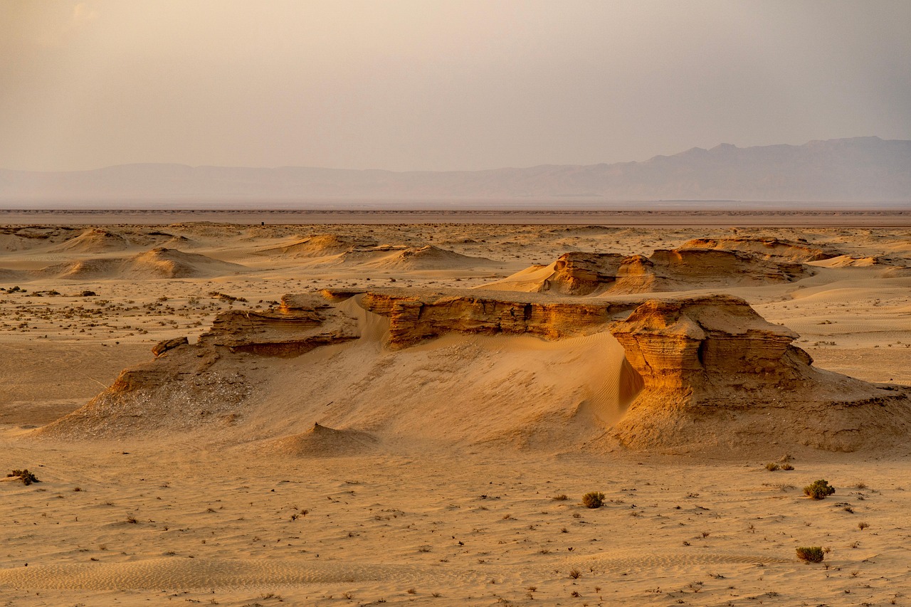 The Library in the Desert: A Micro-Guide to a Tiny Saharan Town